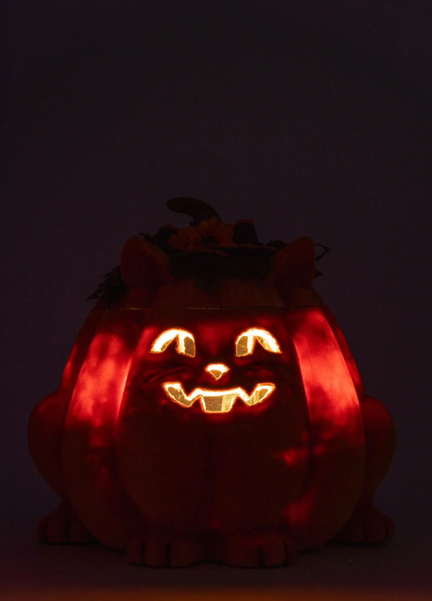 Katherine's Collection 11.5" Jackie The Kitty Cat Pumpkin Halloween Candy Container 28-428204