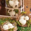 Raz 3" Box Of Nested Speckled Eggs Decoration 4216034