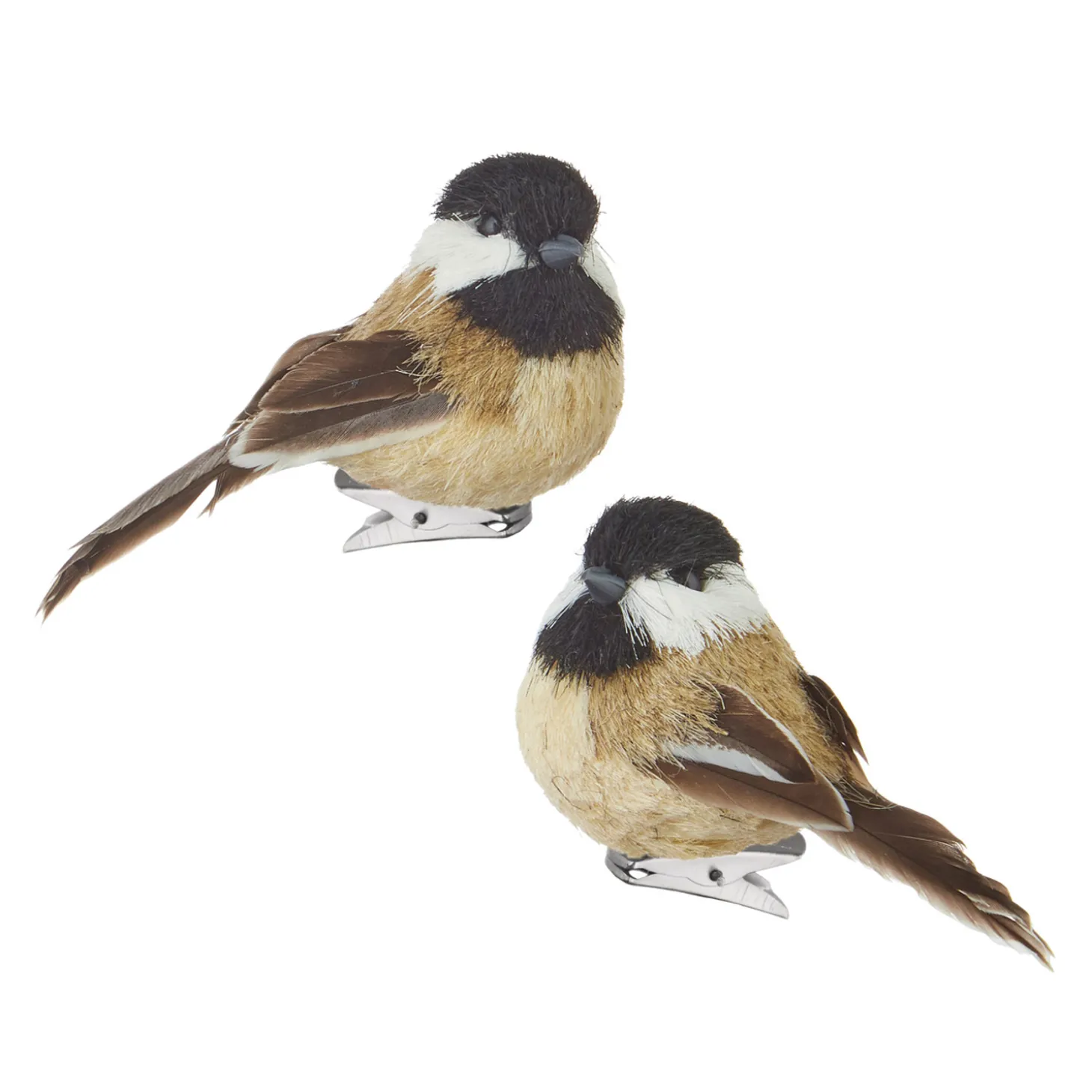 Raz 3.5" Clip On Bird Christmas Ornament 4153305