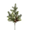 Raz 20" Iced Pine And Pinecones Christmas Tree Spray F4424611