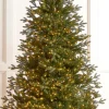 Raz 7.5' Or 9' O Tannenbaum Nordic Fir Real Feel Christmas Tree With Brilliant LED Lights