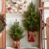 Raz 27" Or 35" Potted Half Wall Hanging Christmas Tree