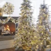 Raz 7.5' Or 9' Pre Lit Flocked Pine Christmas Tree