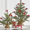 Raz 14.25" Or 16" Tree With Cardinals In Burlap Bag Christmas Decoration