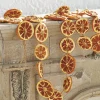 Raz 5.5' Orange Slice Christmas Tree Garland G4202278