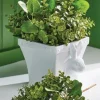 Raz 9" Rabbit Cachepot Easter Or Spring Decoration 4201615