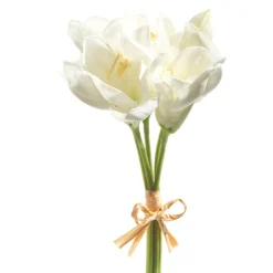 Raz 12" Real Feel White Amaryllis Bundle F4302310