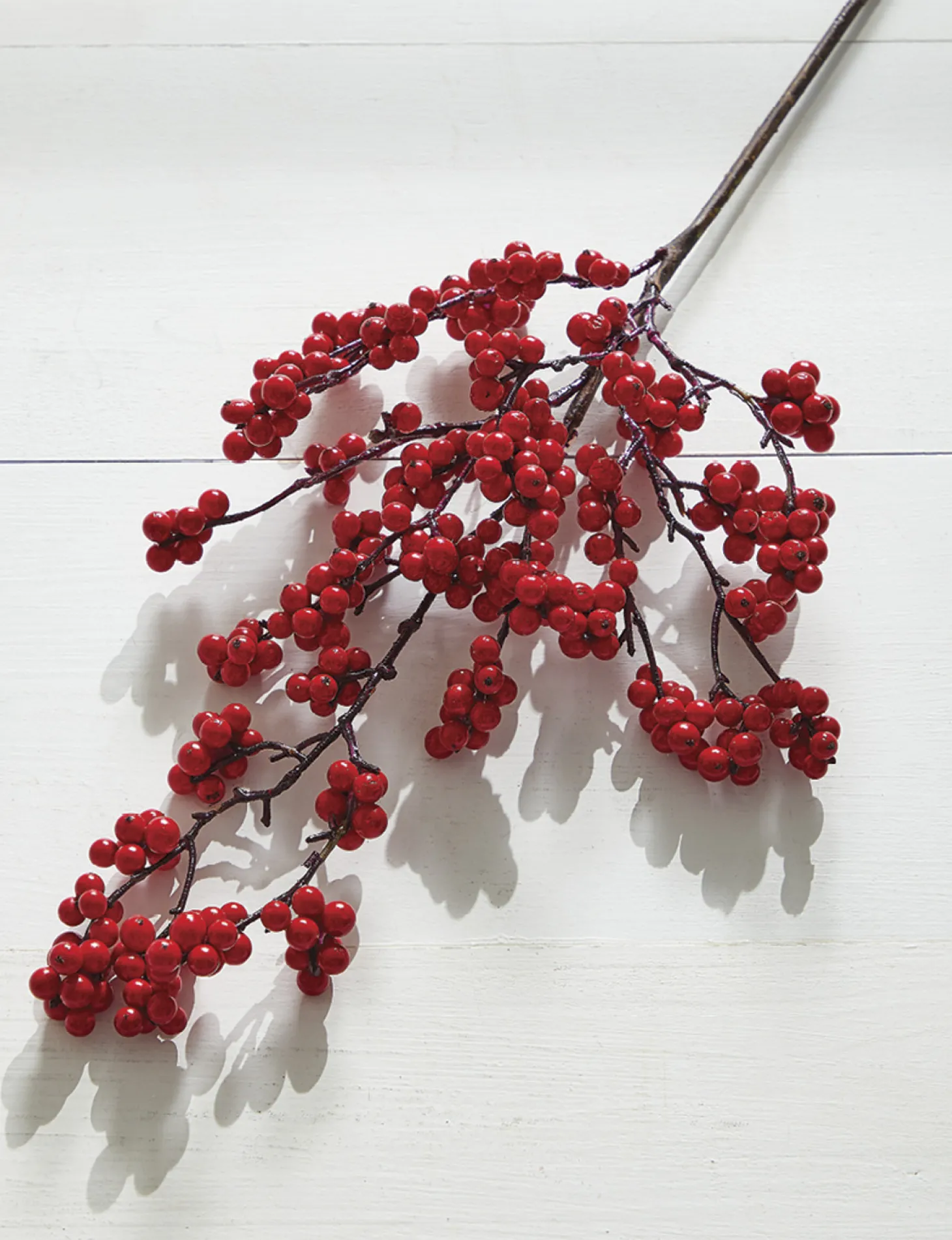 Raz 23" Red Berry Christmas Tree Spray F4222748