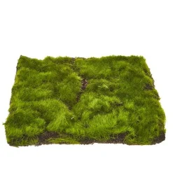 Raz 11.5" Sheet Of Moss Decoration 4222701