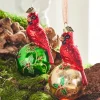 Raz Eric Cortina 5" Elegant Cardinal Glass Christmas Ornament 4353115